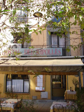 Гостиница Hostal Del Ripollès  Риполь